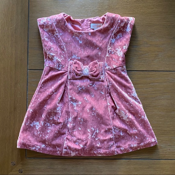 Cat & Jack Other - Cat & Jack Crushed Velvet Dress